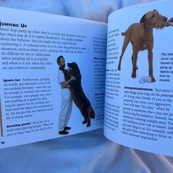 Dogs - Complete Pet Care Book - Picture 10 of 16
